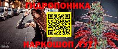 молекула духа Северобайкальск