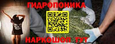 молекула духа Северобайкальск