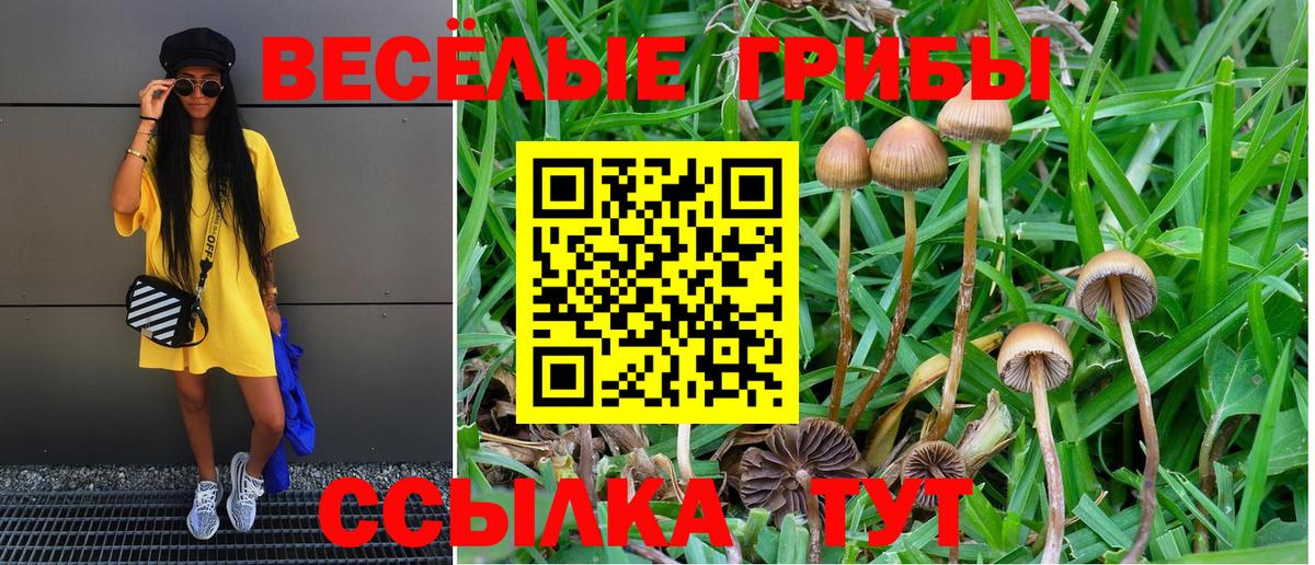 Галлюциногенные грибы Psilocybine cubensis  что такое наркотик  Первоуральск  Вход с VPN 