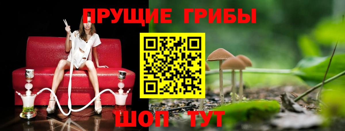Псилоцибиновые грибы MAGIC MUSHROOMS Первоуральск